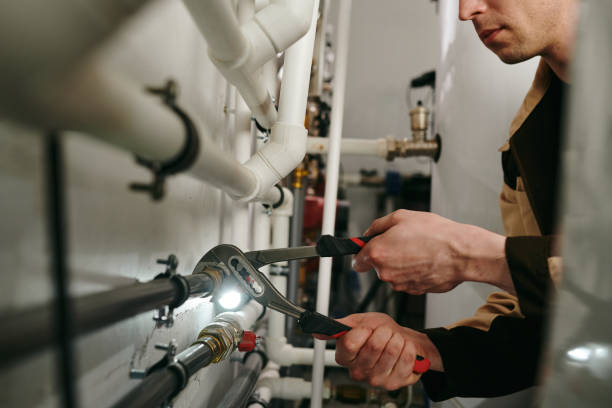 Best Same-Day Plumbing Service  in Smithton, IL