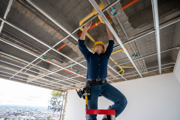 Best Affordable Plumber Near Me  in Smithton, IL