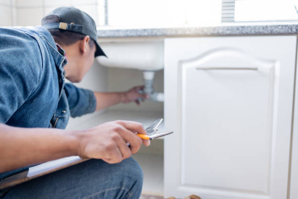 Best Plumbing Services Near Me  in Smithton, IL