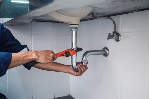 Best Plumbing Services Near Me  in Smithton, IL