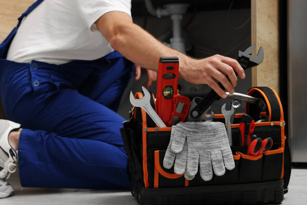 Best Commercial Plumbing Services  in Smithton, IL