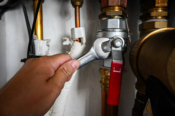 Best Septic Systems  in Smithton, IL